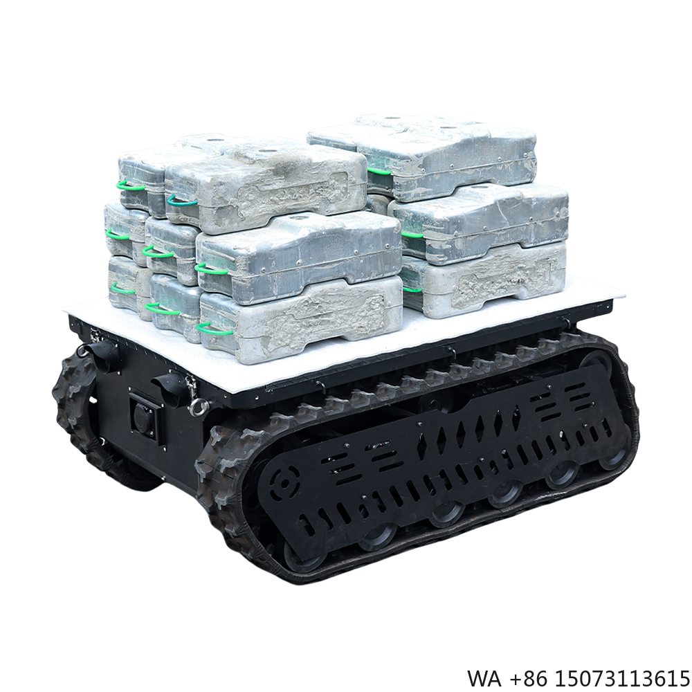 300 600kg Load RC Tank Crawler - đánh giá và giá Dc Motor