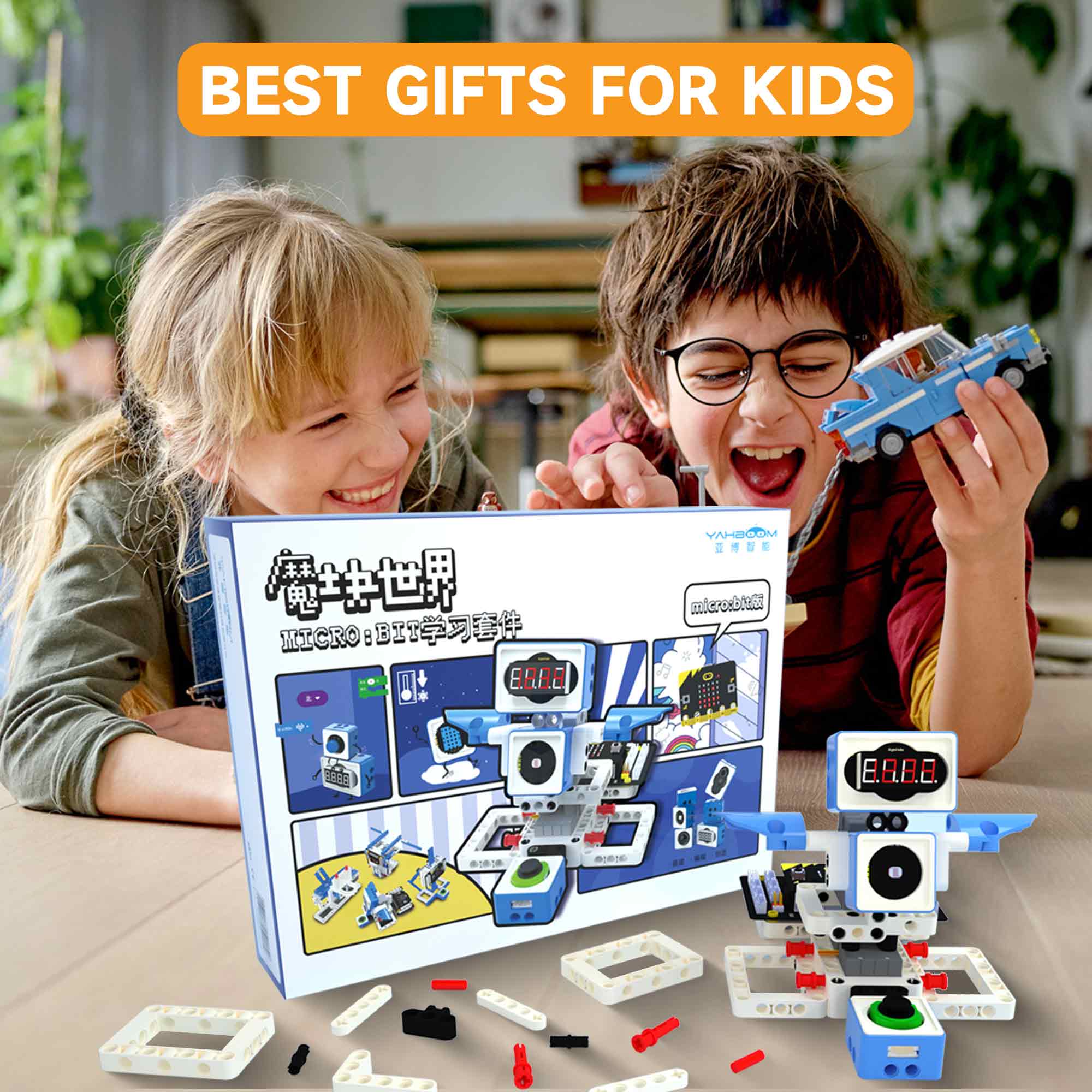 21 in 1 Microbit Robotics Kit  - đánh giá và giá Microbit Robot